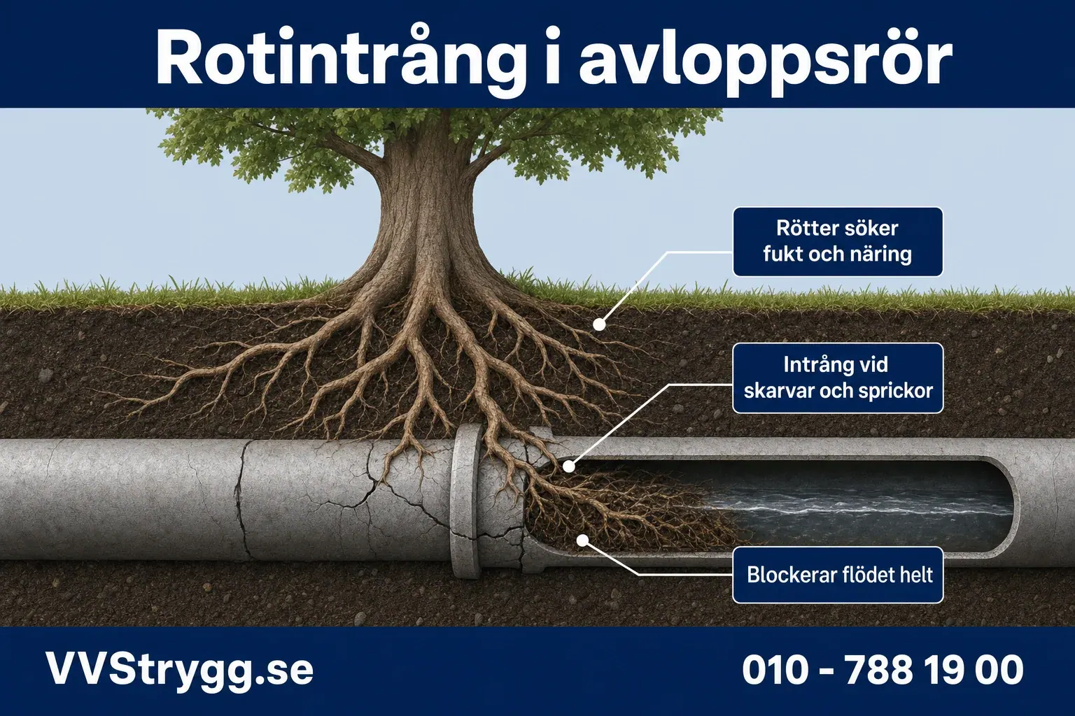 Atgarda rotintrang